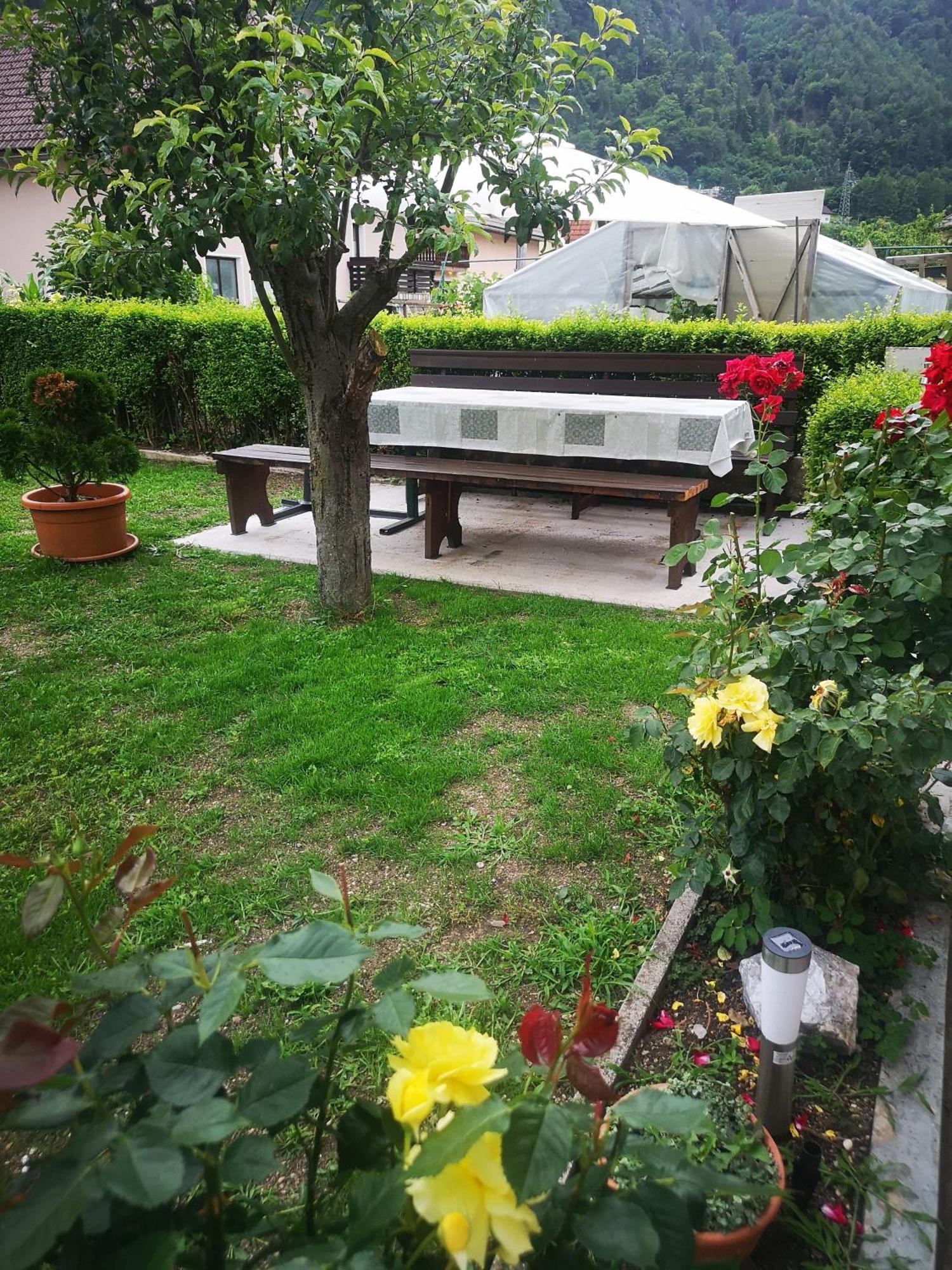 Kiara Rooms Jesenice Cameră foto